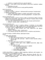 Konspekts 'Anatomija; ķermeņa uzbūves pamatprincipi', 40.