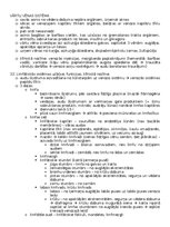 Konspekts 'Anatomija; ķermeņa uzbūves pamatprincipi', 43.