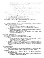 Konspekts 'Anatomija; ķermeņa uzbūves pamatprincipi', 44.