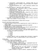 Konspekts 'Anatomija; ķermeņa uzbūves pamatprincipi', 46.