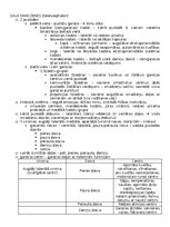 Konspekts 'Anatomija; ķermeņa uzbūves pamatprincipi', 50.