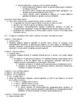 Konspekts 'Anatomija; ķermeņa uzbūves pamatprincipi', 53.