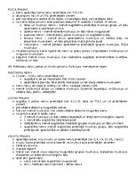 Konspekts 'Anatomija; ķermeņa uzbūves pamatprincipi', 56.