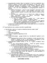 Konspekts 'Anatomija; ķermeņa uzbūves pamatprincipi', 58.