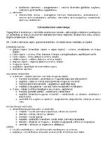 Konspekts 'Anatomija; ķermeņa uzbūves pamatprincipi', 61.