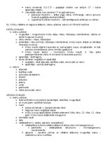 Konspekts 'Anatomija; ķermeņa uzbūves pamatprincipi', 63.