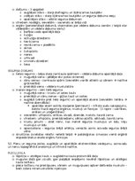 Konspekts 'Anatomija; ķermeņa uzbūves pamatprincipi', 64.