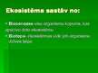 Prezentācija 'Ekoloģija', 8.