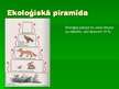 Prezentācija 'Ekoloģija', 13.