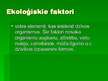 Prezentācija 'Ekoloģija', 15.