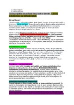 Konspekts 'Konstitucionālās tiesības', 19.