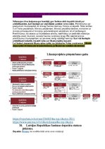 Konspekts 'Konstitucionālās tiesības', 20.