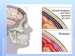 Prezentācija 'Centrālās nervu sistēmas infekcijas slimības', 3.