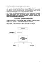 Biznesa plāns 'SIA "Dators un pele"', 5.