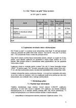 Biznesa plāns 'SIA "Dators un pele"', 6.