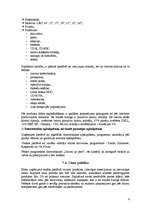 Biznesa plāns 'SIA "Dators un pele"', 8.