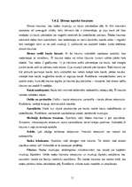 Referāts 'Profesionālā sporta ietekme uz cilvēka veselību', 11.