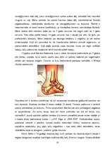 Referāts 'Profesionālā sporta ietekme uz cilvēka veselību', 20.