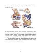 Referāts 'Profesionālā sporta ietekme uz cilvēka veselību', 21.