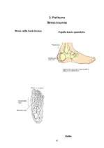 Referāts 'Profesionālā sporta ietekme uz cilvēka veselību', 41.