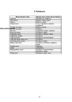 Referāts 'Profesionālā sporta ietekme uz cilvēka veselību', 45.