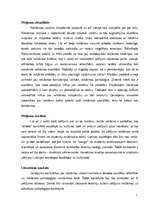 Referāts 'Reklāmas uztveres stereotipu atšķirības divās dažādās pircēju vecumgrupās', 3.