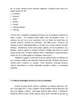 Referāts 'Reklāmas uztveres stereotipu atšķirības divās dažādās pircēju vecumgrupās', 12.