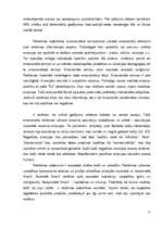 Referāts 'Reklāmas uztveres stereotipu atšķirības divās dažādās pircēju vecumgrupās', 15.