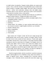 Referāts 'Reklāmas uztveres stereotipu atšķirības divās dažādās pircēju vecumgrupās', 20.