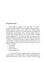 Referāts 'Reklāmas uztveres stereotipu atšķirības divās dažādās pircēju vecumgrupās', 33.