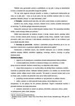 Referāts 'Reklāmas ētika', 6.