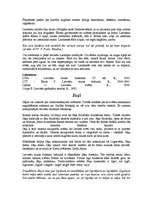 Konspekts 'Folklora, folkloras godi, gadskārtas ieražas', 9.