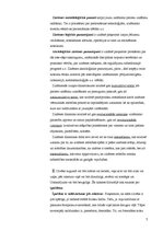 Konspekts 'Filosofijas funkcijas mūsdienu sabiedrībā', 7.