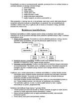 Konspekts 'Saimniecisko procesu tehnoloģiju vadīšana', 13.