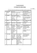 Biznesa plāns 'Biznesa plāns un prezentācija', 9.