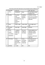 Biznesa plāns 'Biznesa plāns un prezentācija', 10.