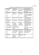 Biznesa plāns 'Biznesa plāns un prezentācija', 11.