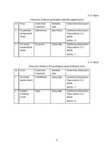 Biznesa plāns 'Biznesa plāns un prezentācija', 12.