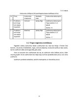 Biznesa plāns 'Biznesa plāns un prezentācija', 13.