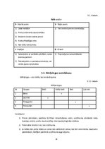 Biznesa plāns 'Biznesa plāns un prezentācija', 14.