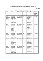 Biznesa plāns 'Biznesa plāns un prezentācija', 17.