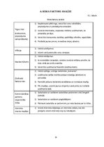 Biznesa plāns 'Biznesa plāns un prezentācija', 19.