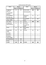 Biznesa plāns 'Biznesa plāns un prezentācija', 25.