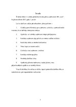 Biznesa plāns 'SIA "Last" biznesa plāns', 7.