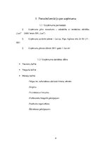 Biznesa plāns 'SIA "Last" biznesa plāns', 8.