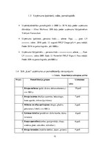 Biznesa plāns 'SIA "Last" biznesa plāns', 10.