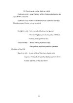 Biznesa plāns 'SIA "Last" biznesa plāns', 13.