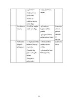 Biznesa plāns 'SIA "Last" biznesa plāns', 16.