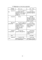 Biznesa plāns 'SIA "Last" biznesa plāns', 19.