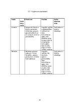 Biznesa plāns 'SIA "Last" biznesa plāns', 22.